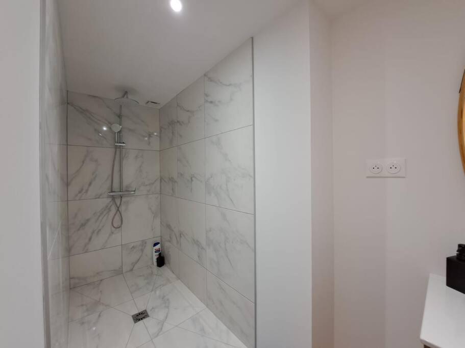 Mascate - Appartement Climatise En Hypercentre Reims Bagian luar foto