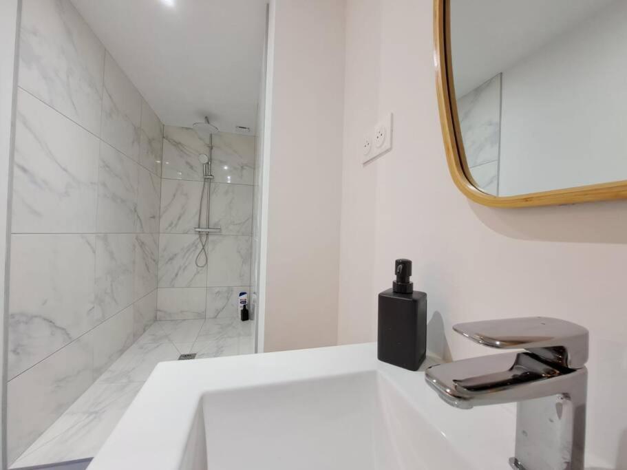 Mascate - Appartement Climatise En Hypercentre Reims Bagian luar foto